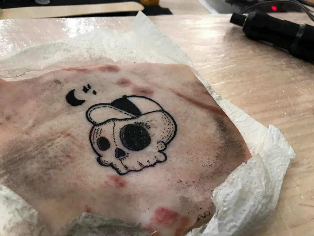 Empezando a tatuar línea gruesa en piel de cerdo
